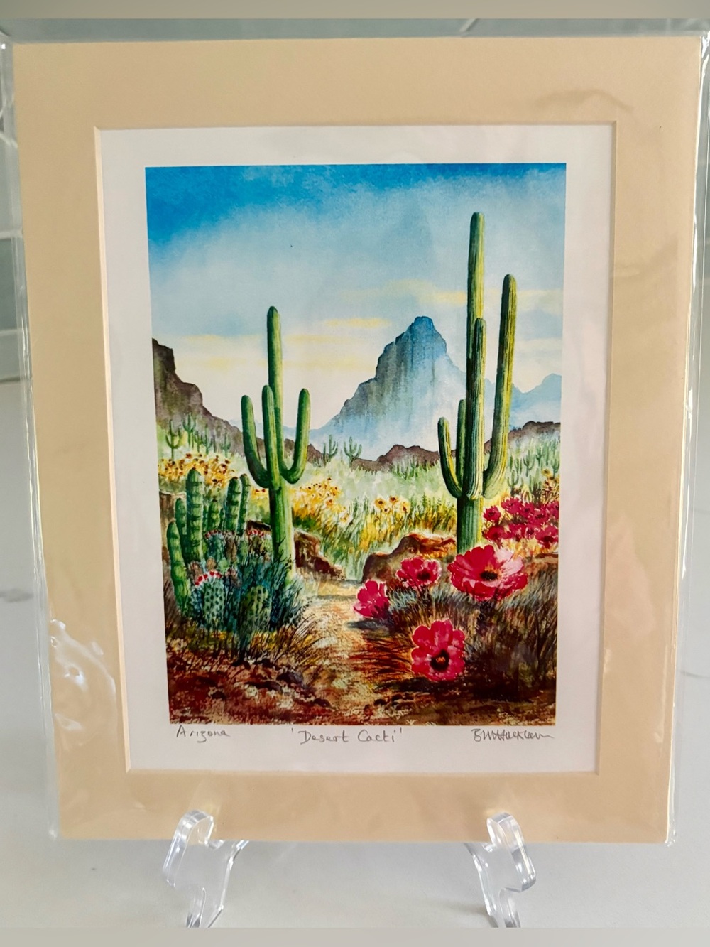 Bill Holkham Desert Cacti Art Print 8x10 Matted Arizona Saguaro Watercolor Style